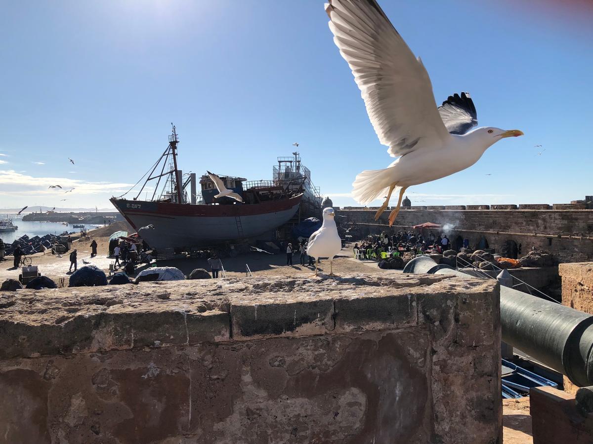 Riad De La Mer Essaouira Bagian luar foto