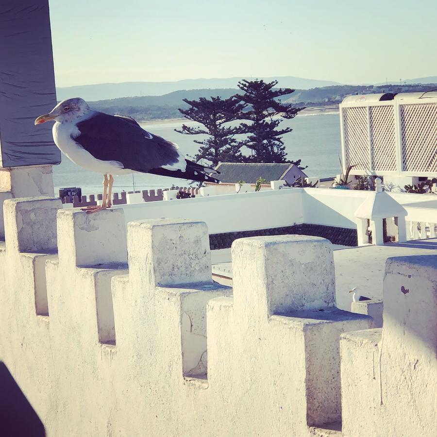 Riad De La Mer Essaouira Bagian luar foto